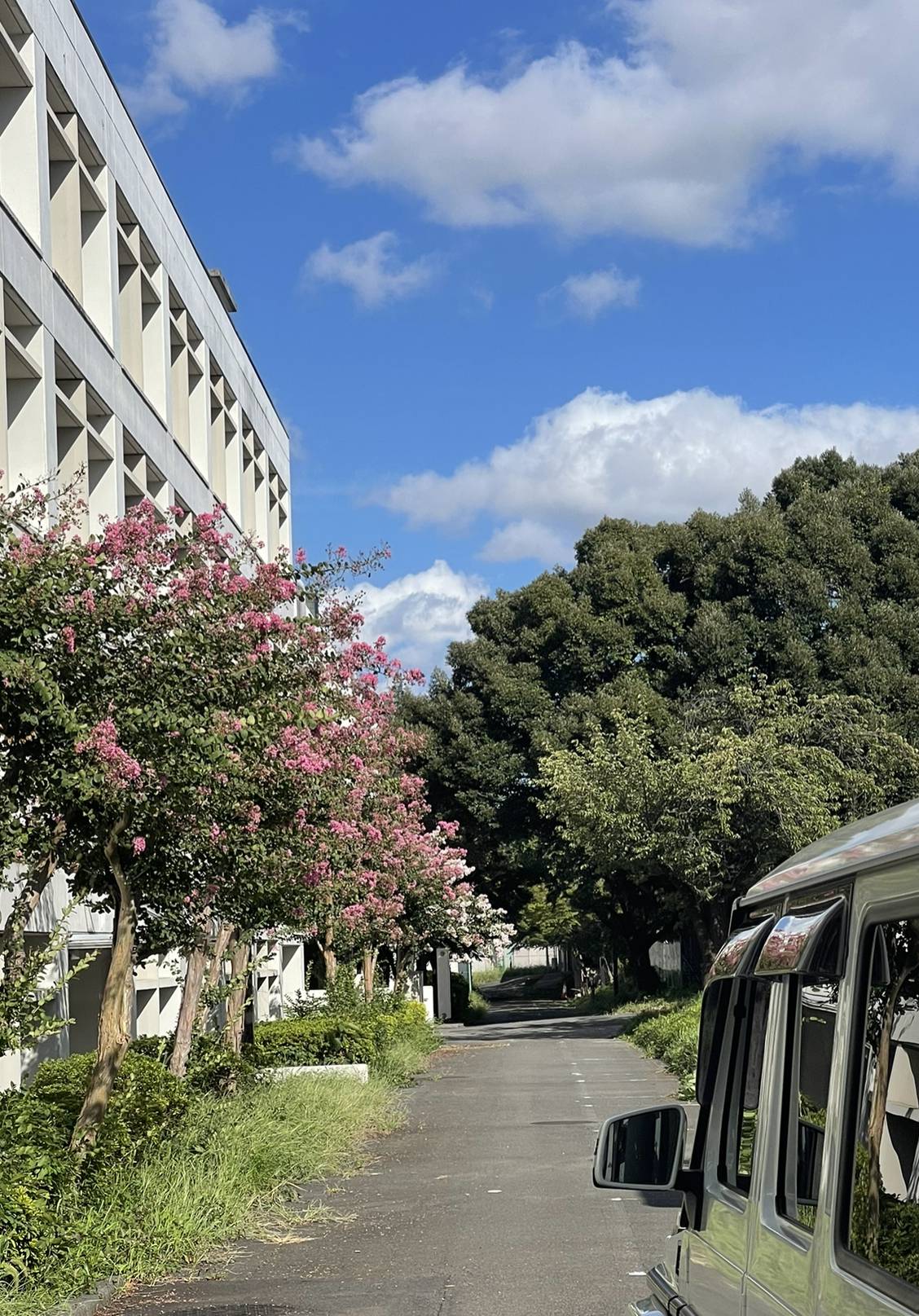 明治大学大学院